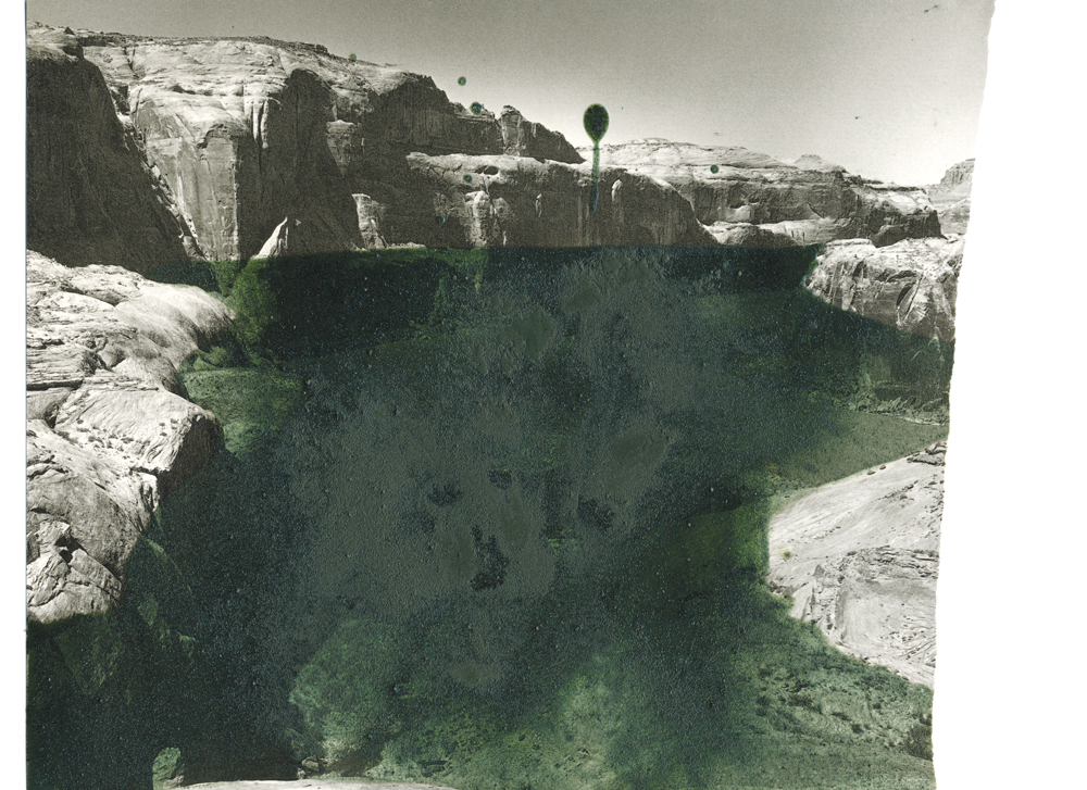 A.K. Burns, Untitled, 2014 Spiralina, polyurethane, and images ripped from a catalog of photographs by Tad Nichols of Glen Canyon, Utah before it was dammed in 1956. Currently the canyon brims with water over 500 feet deep.